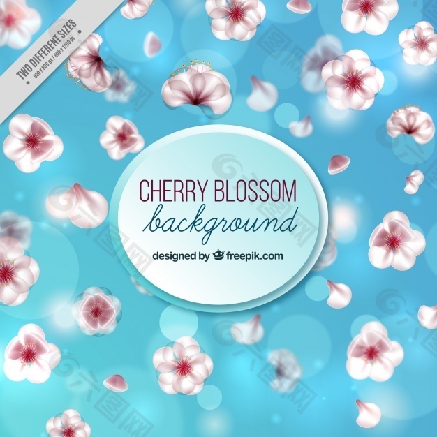 离焦背景的樱花