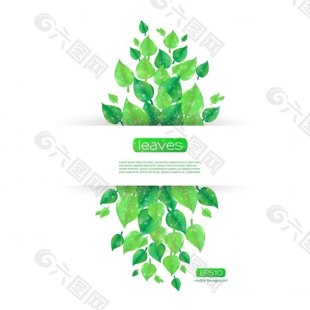 美丽的模板背景绿色叶子