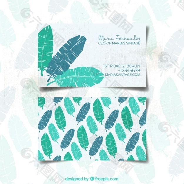 带有手绘羽毛的名片