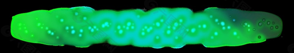 向上漂浮的绿色小颗粒动态边框素材