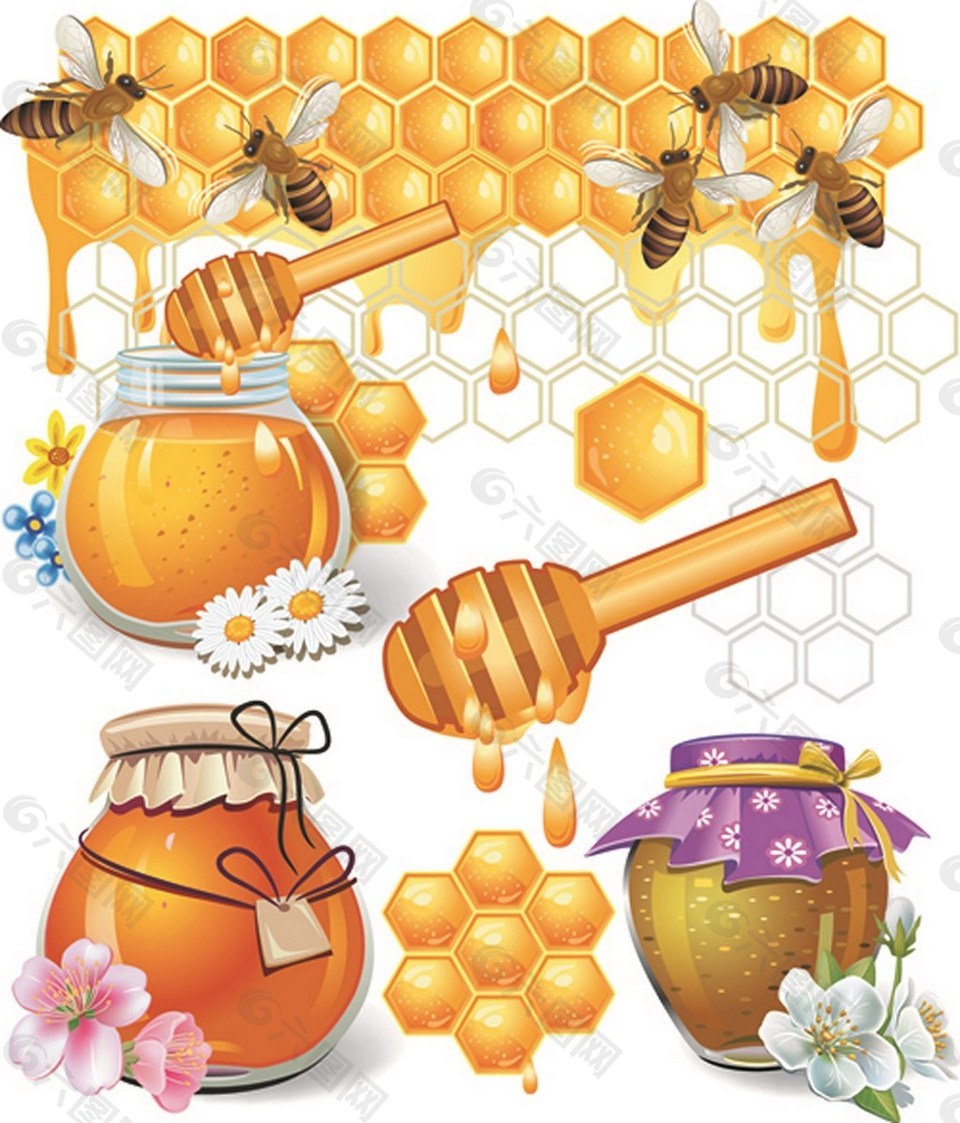 美味蜂蜜矢量图