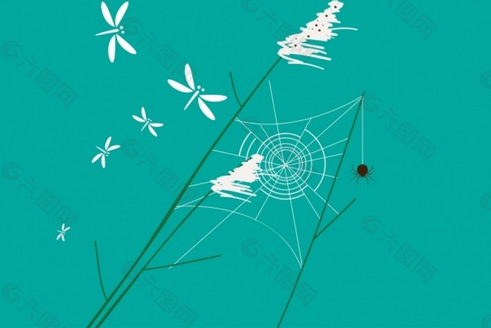白色植物蜻蜓蜘蛛背景图