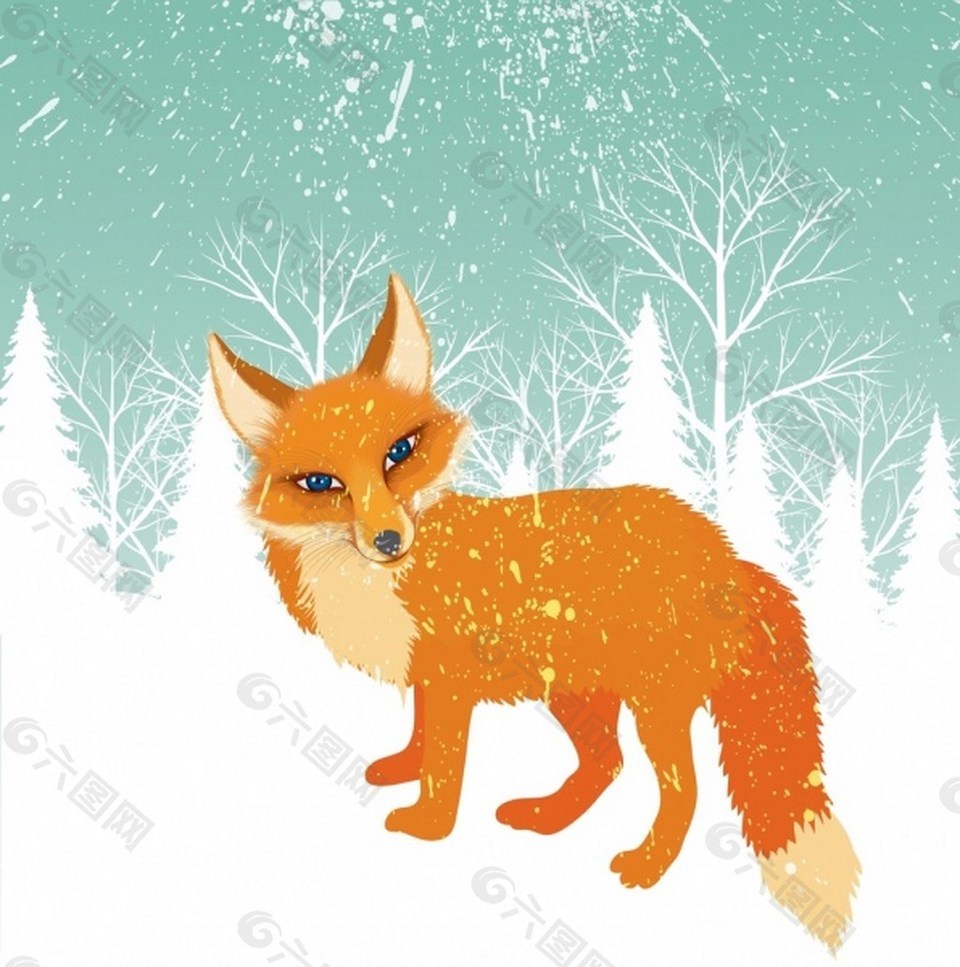 冬季雪地里橘色狐狸背景图