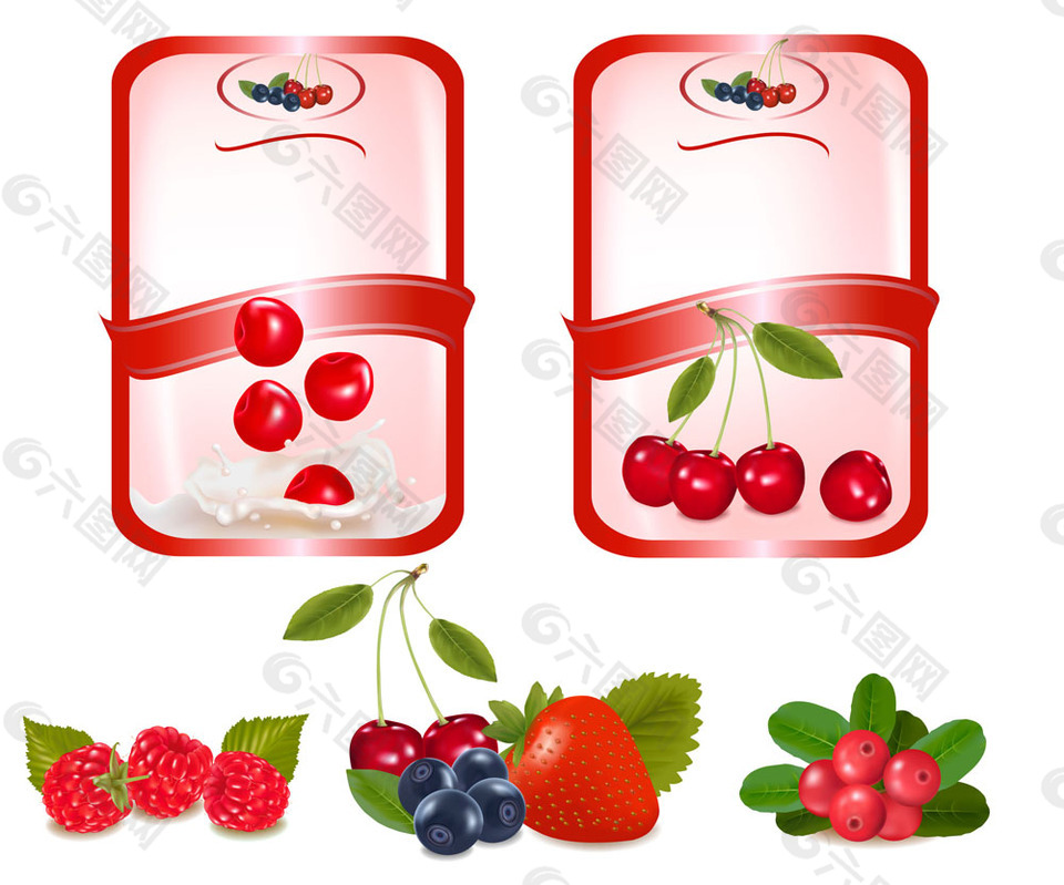 浆果果汁标签图片