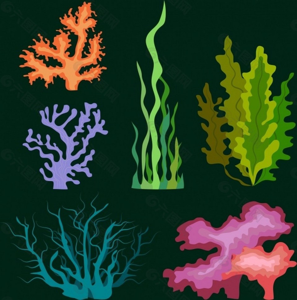 海底海藻植物矢量图