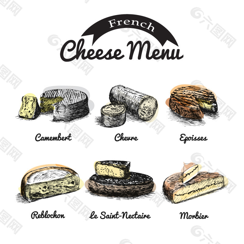 彩绘法国奶酪矢量