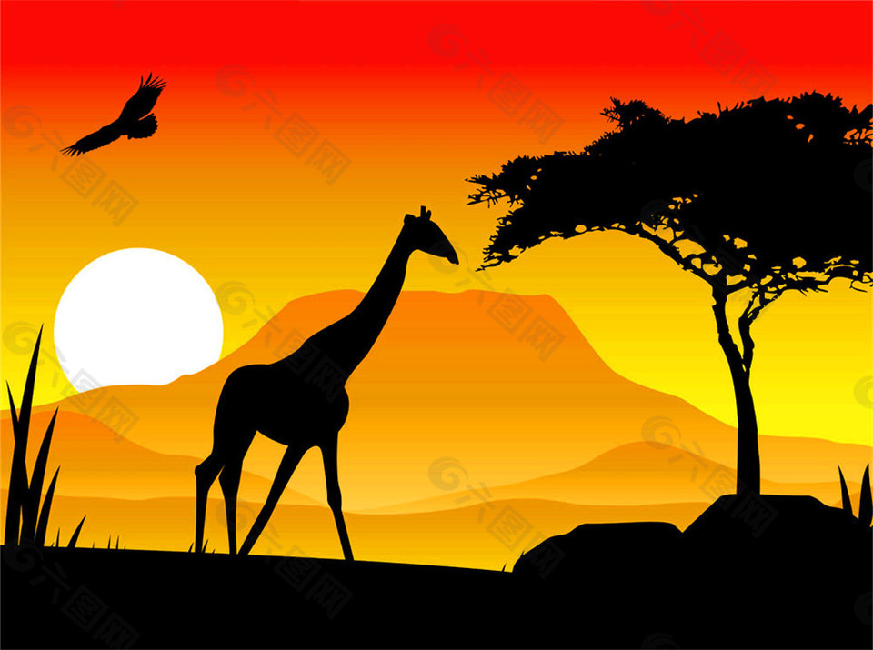 日出长颈鹿绿树图片
