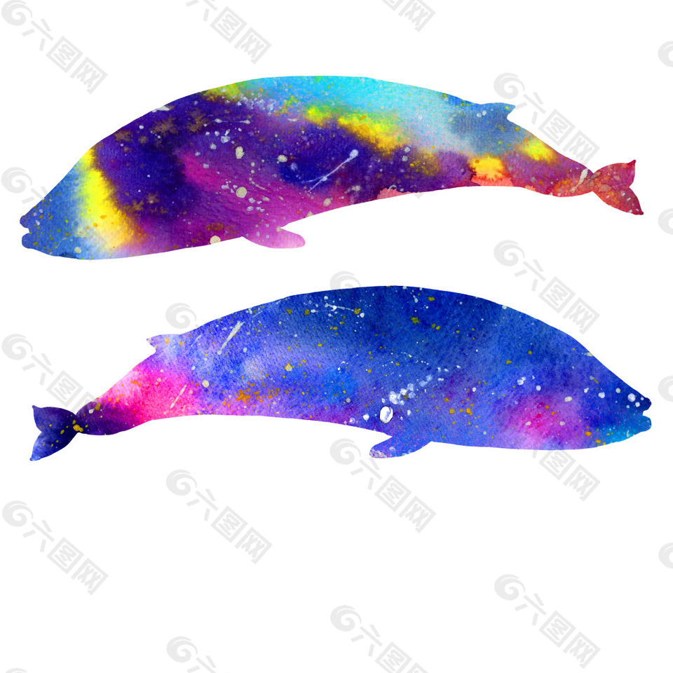 彩色星空海豚鲸鱼矢量图