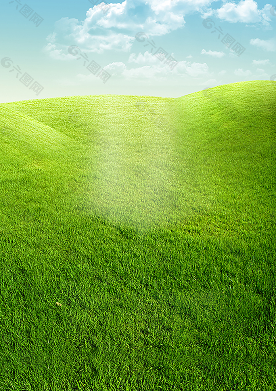 绿色草地背景