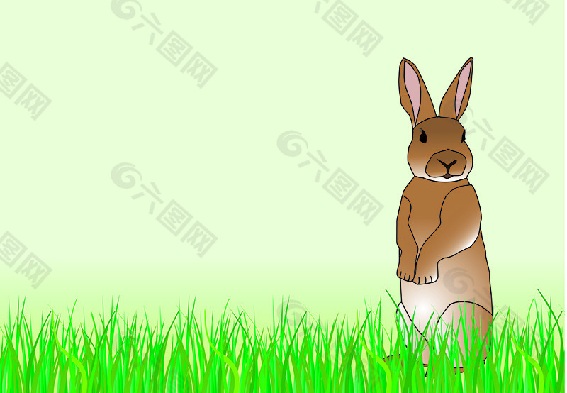 兔子草坪设计
