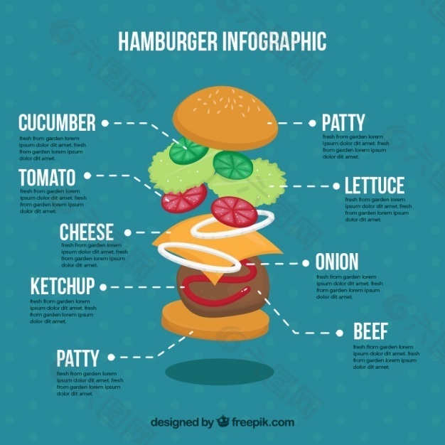 汉堡包和成分分布图
