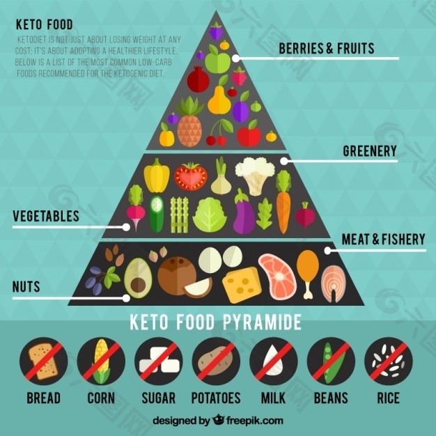 关于食物金字塔图表