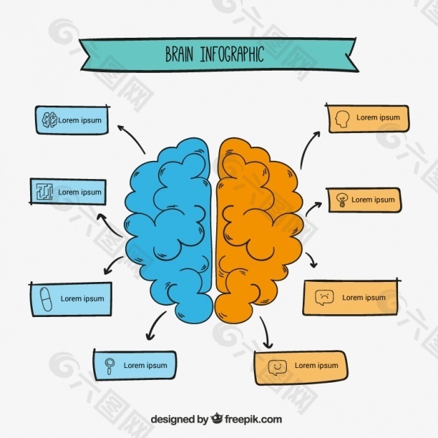 人脑的信息图表模板的手绘风格