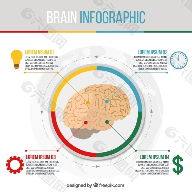 圆脑的信息图表模板
