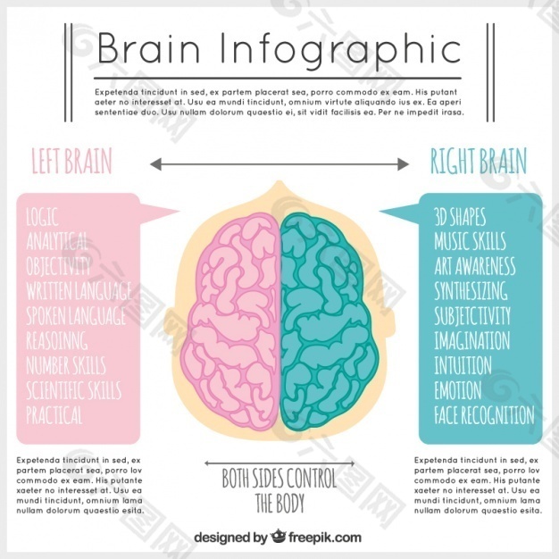 大脑的信息图表模板在粉红色和蓝色色调