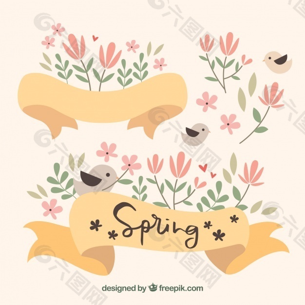 美丽的丝带和鸟