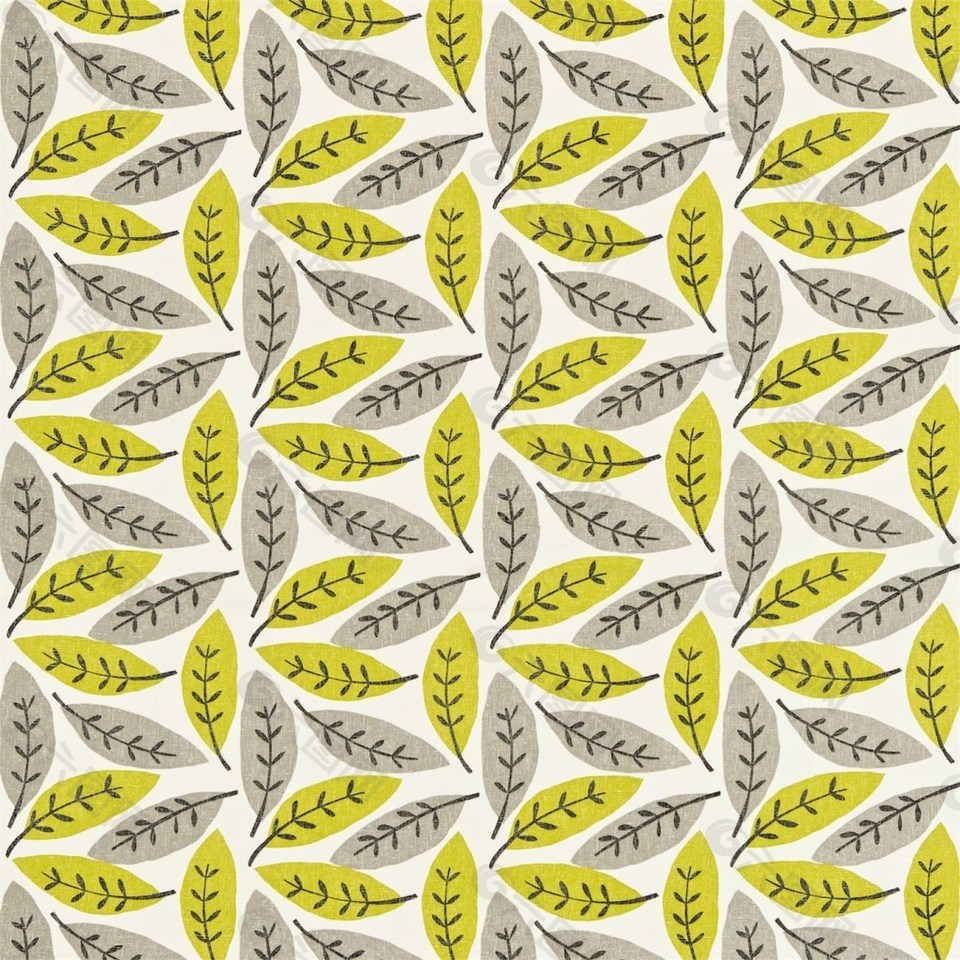 羽毛状脉络枝叶壁纸素材