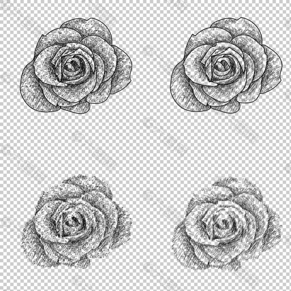 黑色玫瑰花插画免抠png透明图层素材