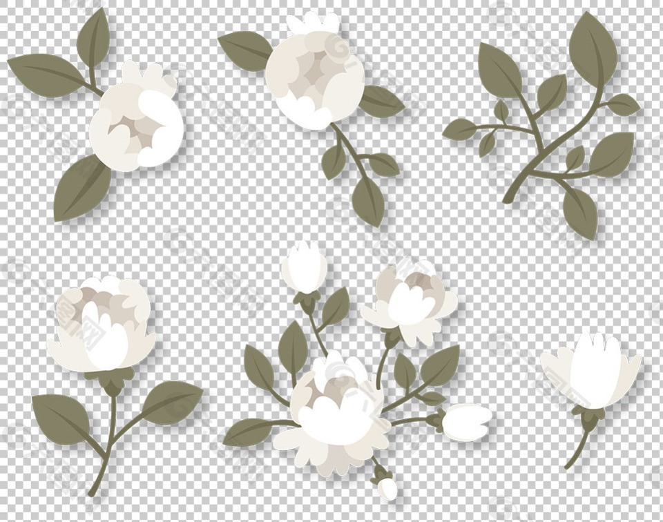 白色玫瑰花插画免抠png透明图层素材
