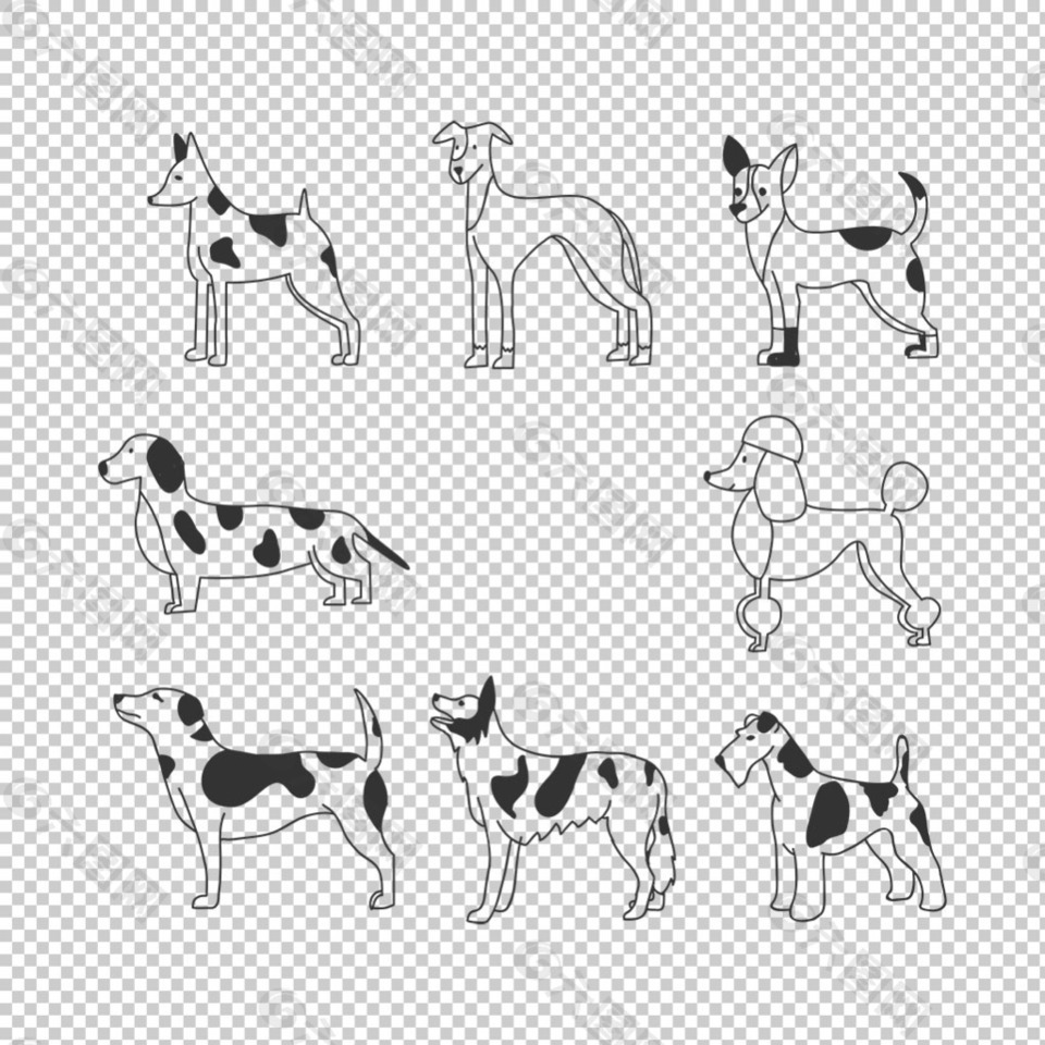 黑白斑点狗插图免抠png透明图层素材