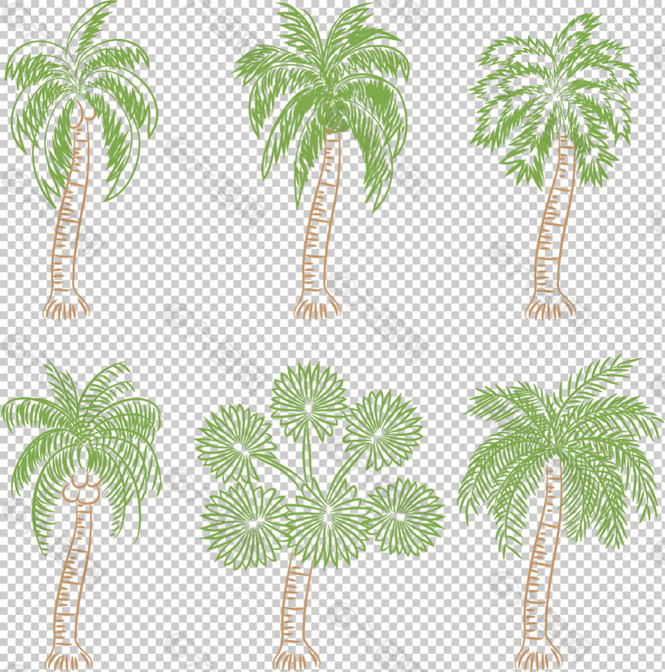 椰子树棕榈树免抠png透明图层素材