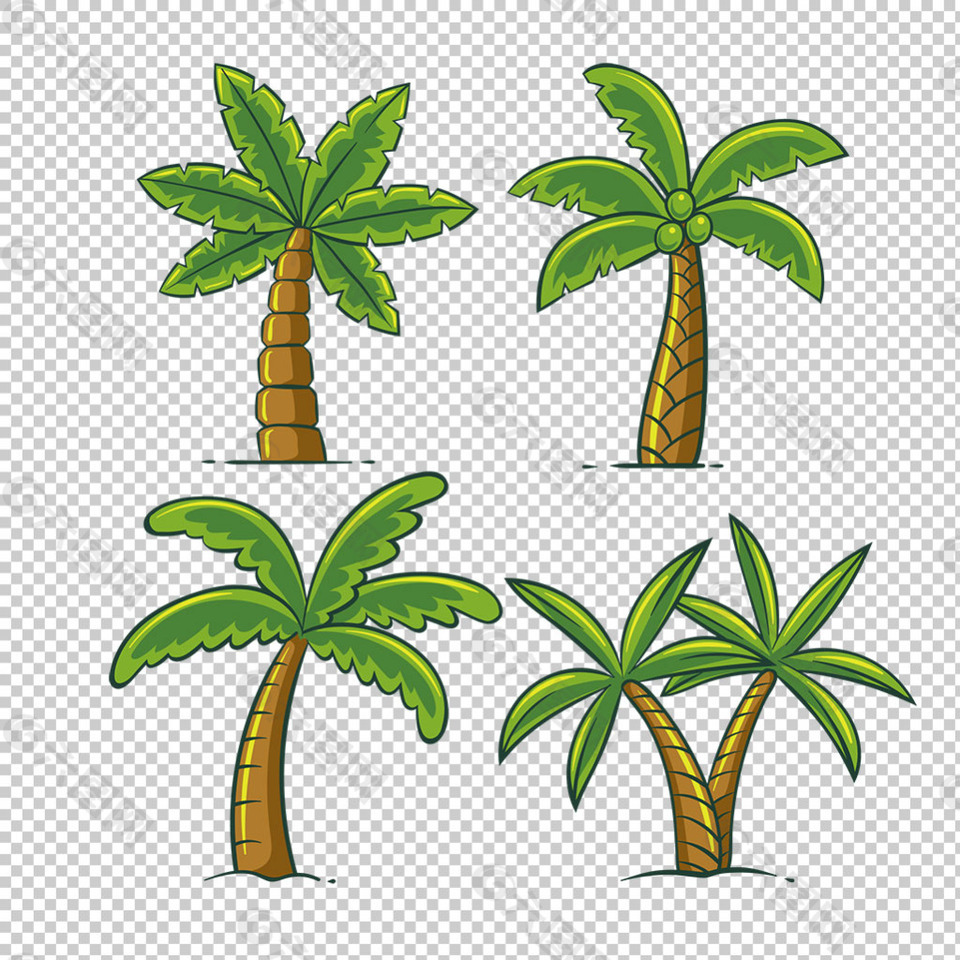 棕榈树椰子树免抠png透明图层素材