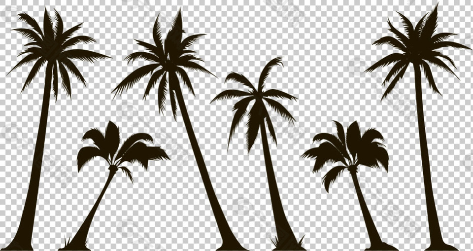 椰子树剪影免抠png透明图层素材