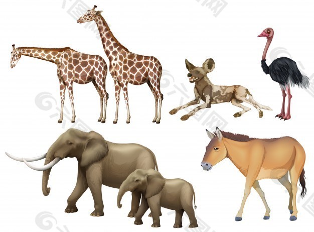 五种野生动物插画