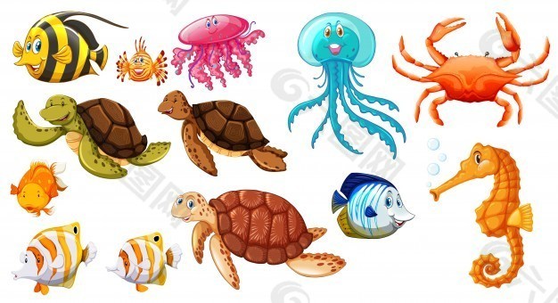 不同种类的海洋动物插画