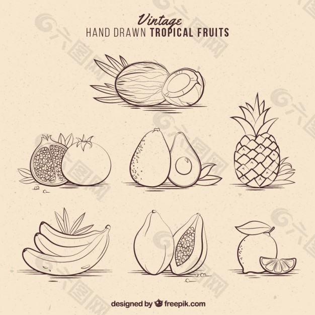 古典手绘热带水果