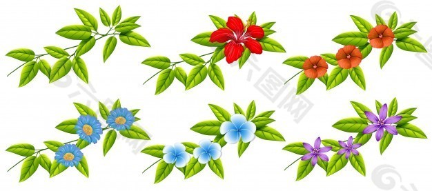 鲜花和绿叶插图