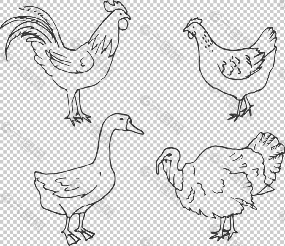 卡通家禽动物免抠png透明图层素材平面广告素材免费下载 图片编号 六图网
