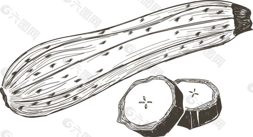 苦瓜健康绿色水果蔬菜矢量素材