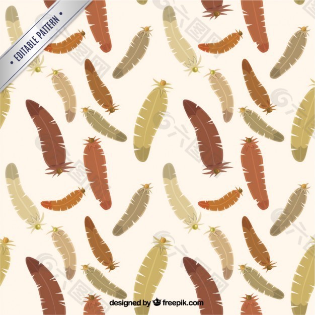 布朗的羽毛图案