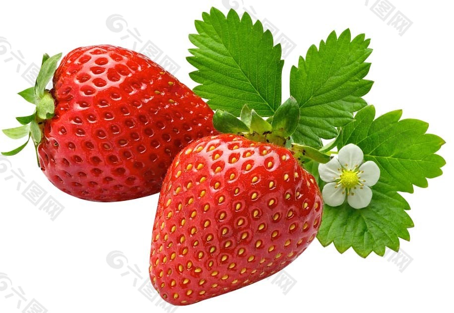 草莓插画素材