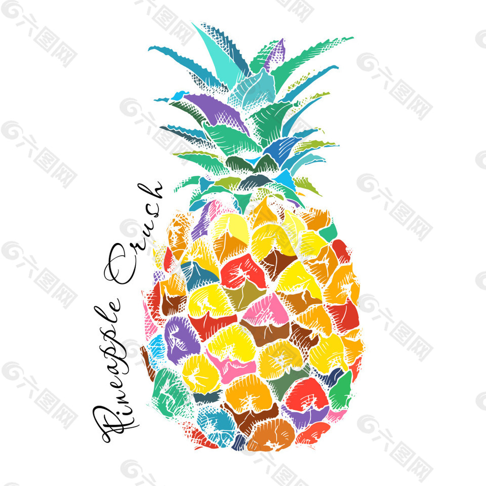 创意彩色手绘菠萝插画平面广告素材免费下载(图片编号:8769272)