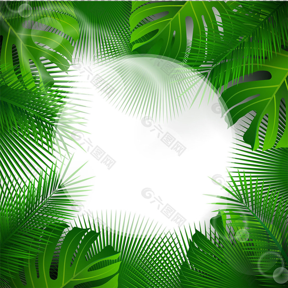 热带绿叶边框免抠png透明图层素材