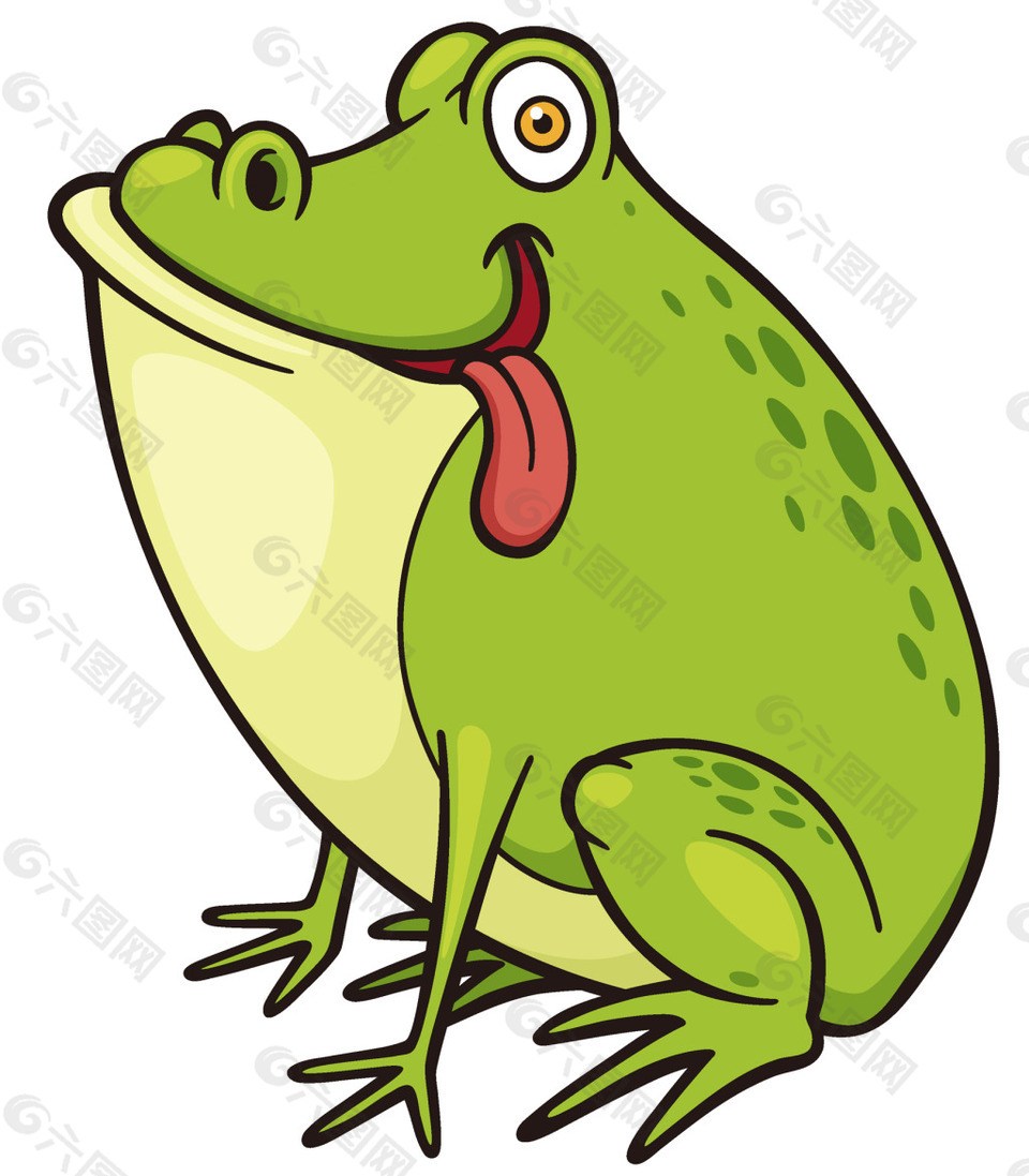 蹲着的成年青蛙