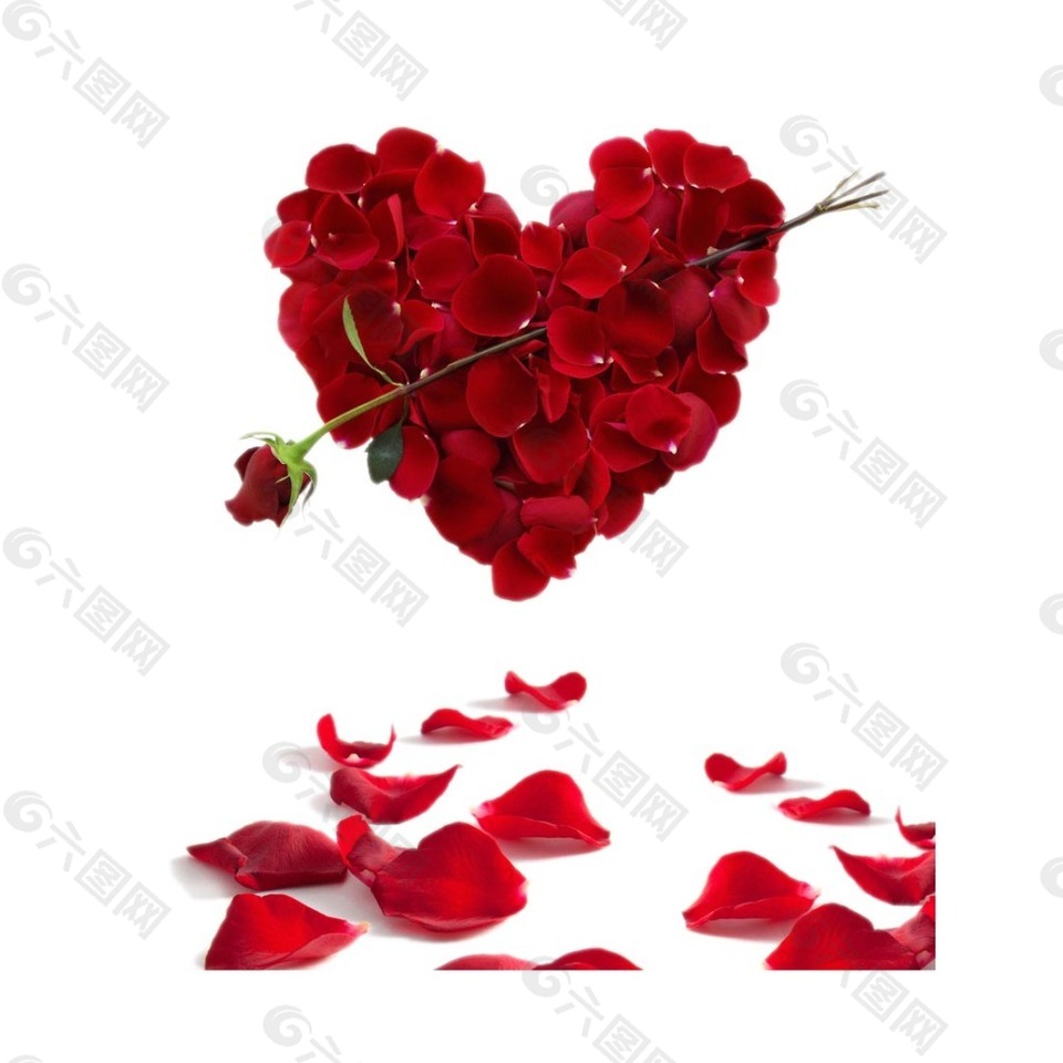 浪漫红色心形花瓣元素