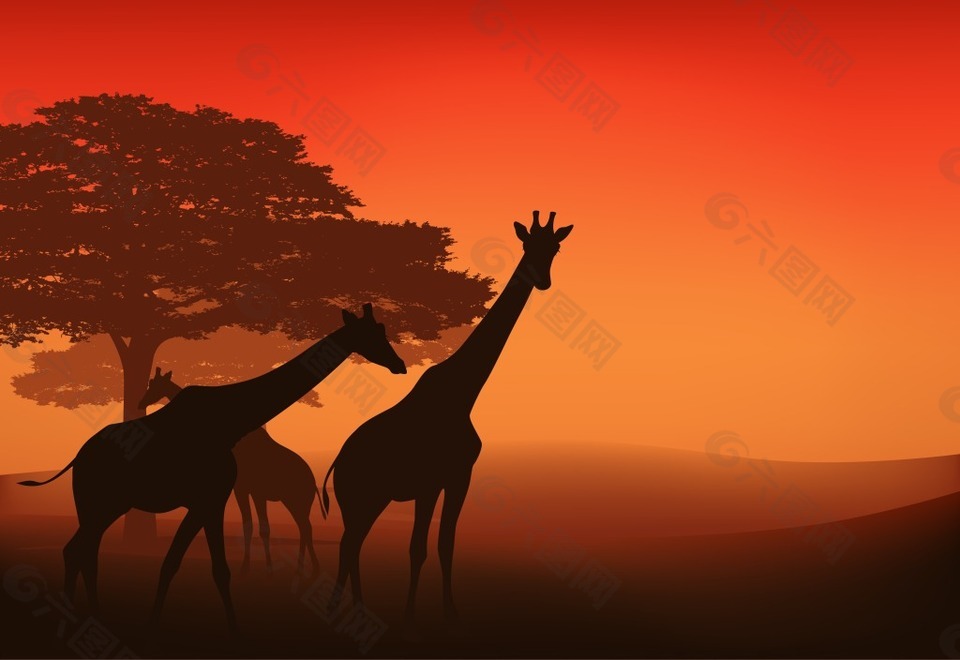 非洲草原上的动物插画