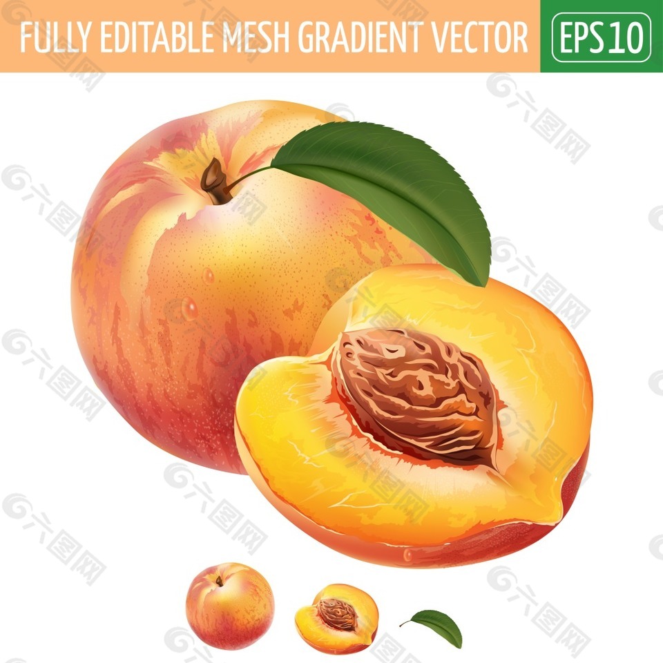 水彩绘水果黄桃插画