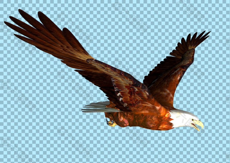 正在飞翔的棕色老鹰免抠png透明图层素材
