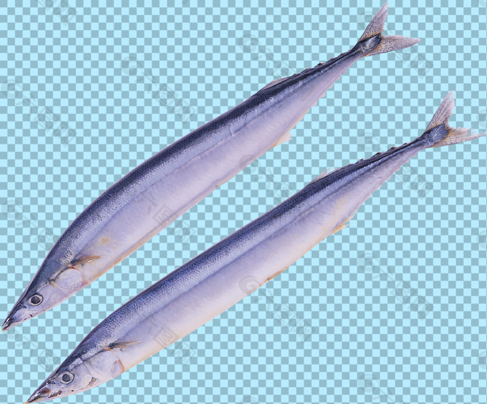 两条带鱼图片免抠png透明图层素材
