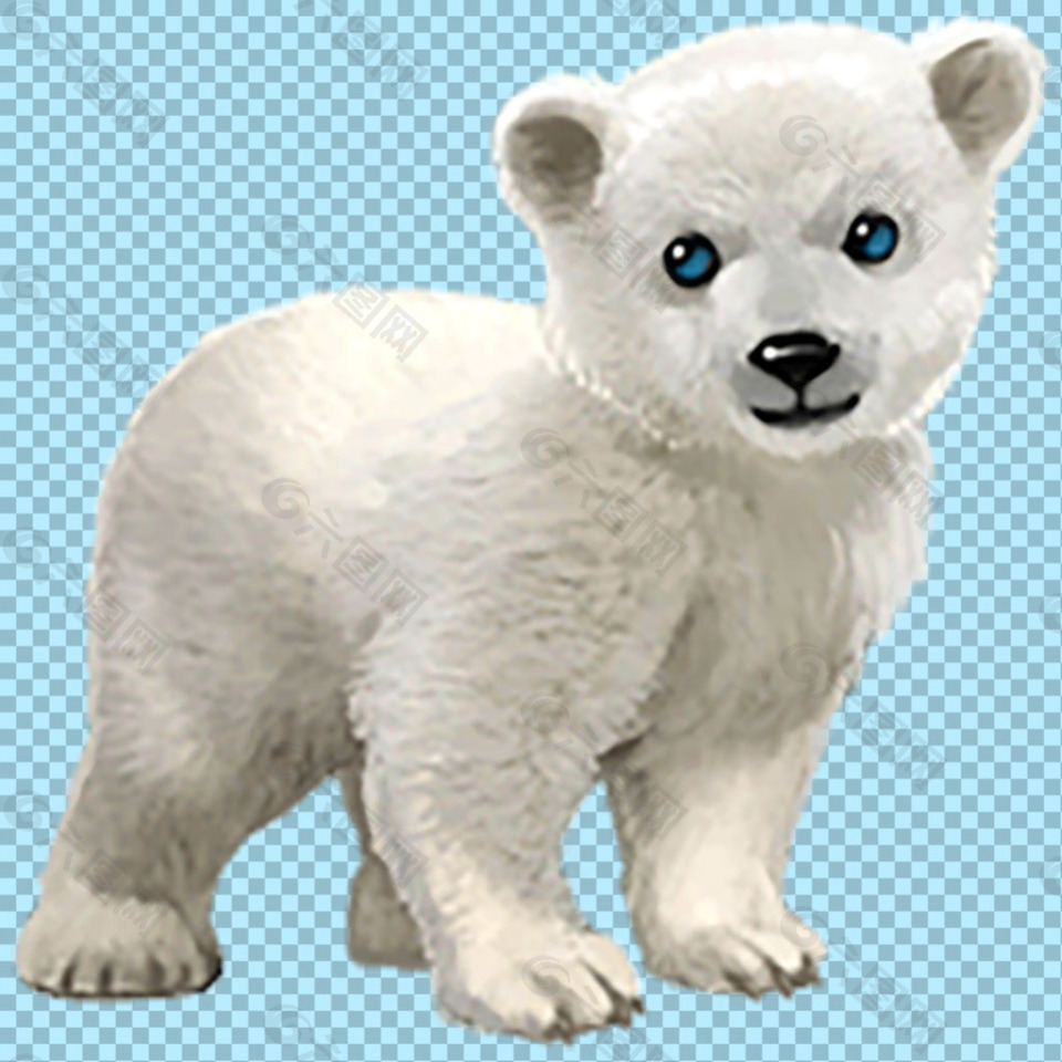 手绘可爱小北极熊免抠png透明图层素材