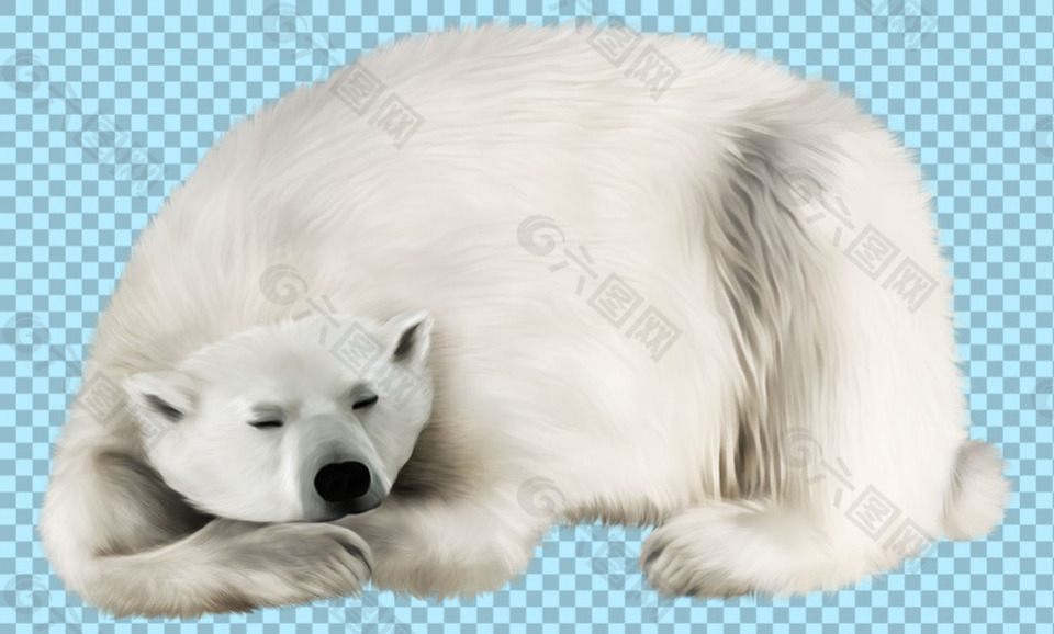 睡觉的北极熊免抠png透明图层素材