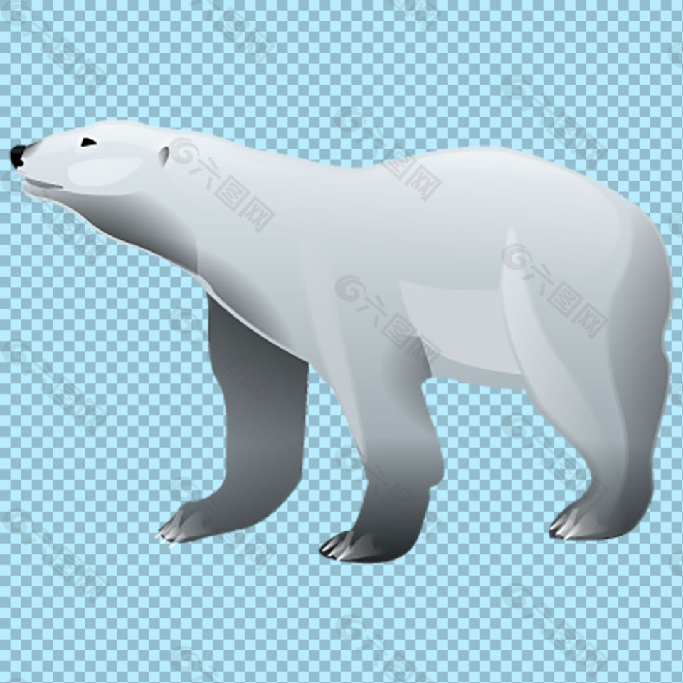 抬头远望的北极熊免抠png透明图层素材