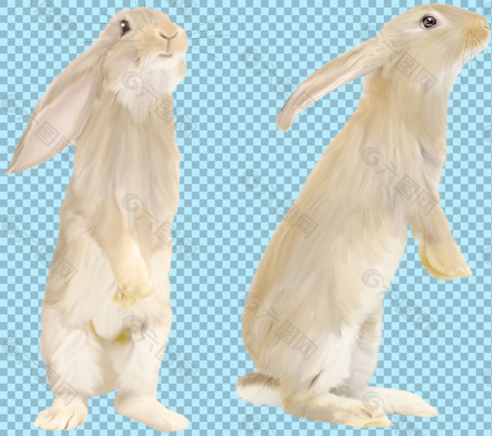 两只站立的兔子免抠png透明图层素材