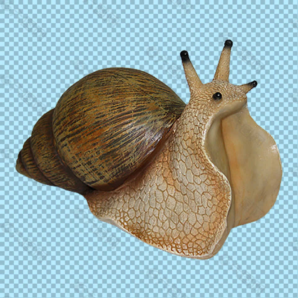 软体小动物蜗牛免抠png透明图层素材