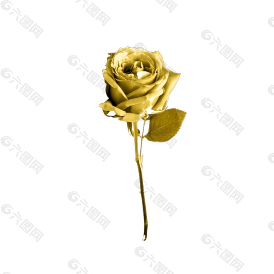 大气金色玫瑰花元素设计元素素材免费下载 图片编号 六图网