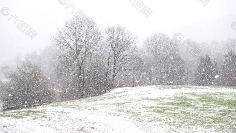 雪景树木风景视频素材